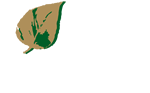 Centro de Mayores Cáxar de la Vega, tu residencia de mayores cerca de Granada Voluntariado Voluntariado